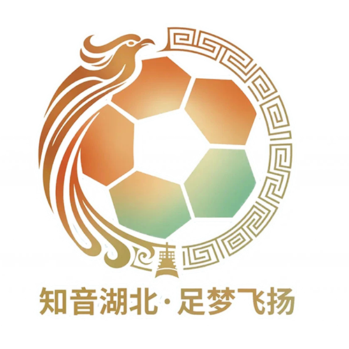 湖北省城市足球联赛 咸宁外星人队VS黄石美尔雅队20261017